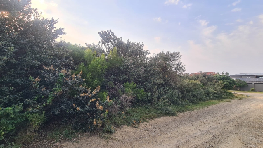 0 Bedroom Property for Sale in Cannon Rocks Eastern Cape